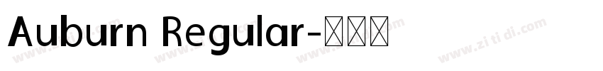 Auburn Regular字体转换